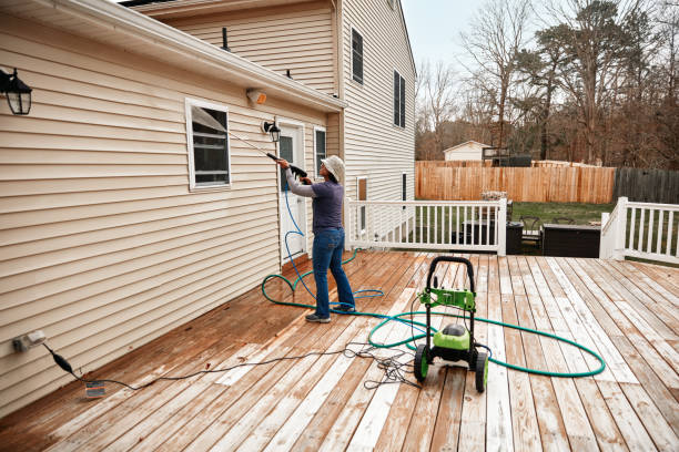 Best Best Pressure Washing Companies  in Livonia, MI