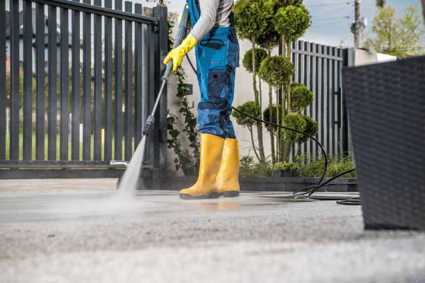 Best Pressure Washing Driveway  in Livonia, MI