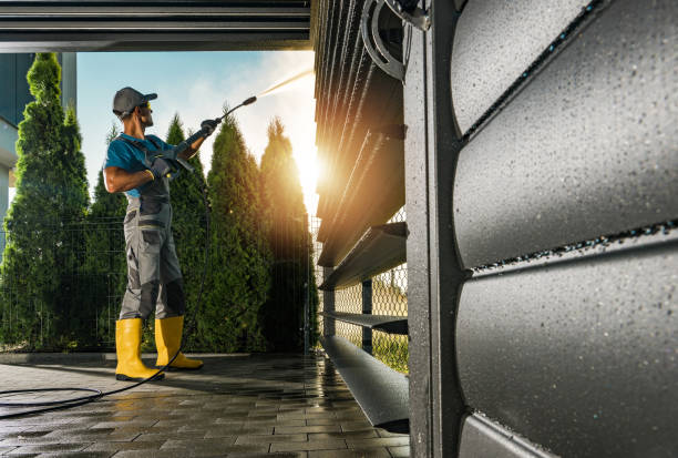 Best Pressure Washing Company Near Me  in Livonia, MI