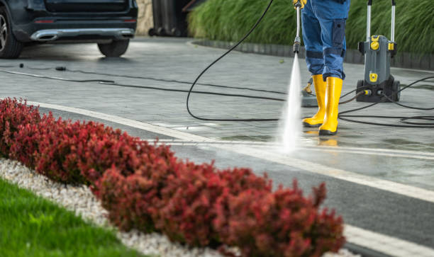 Best Pressure Washing Estimates  in Livonia, MI