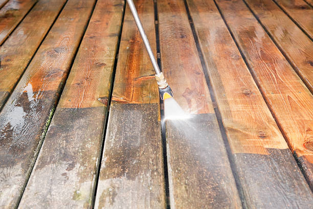 Best Affordable Pressure Washing  in Livonia, MI