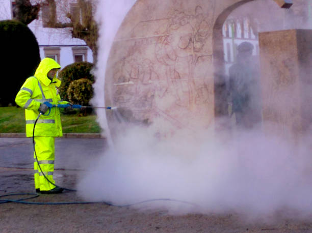 Best Garage Pressure Washing  in Livonia, MI