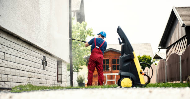 Best Affordable Power Washing  in Livonia, MI